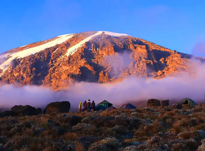 Home Explore Green Africa Safaris