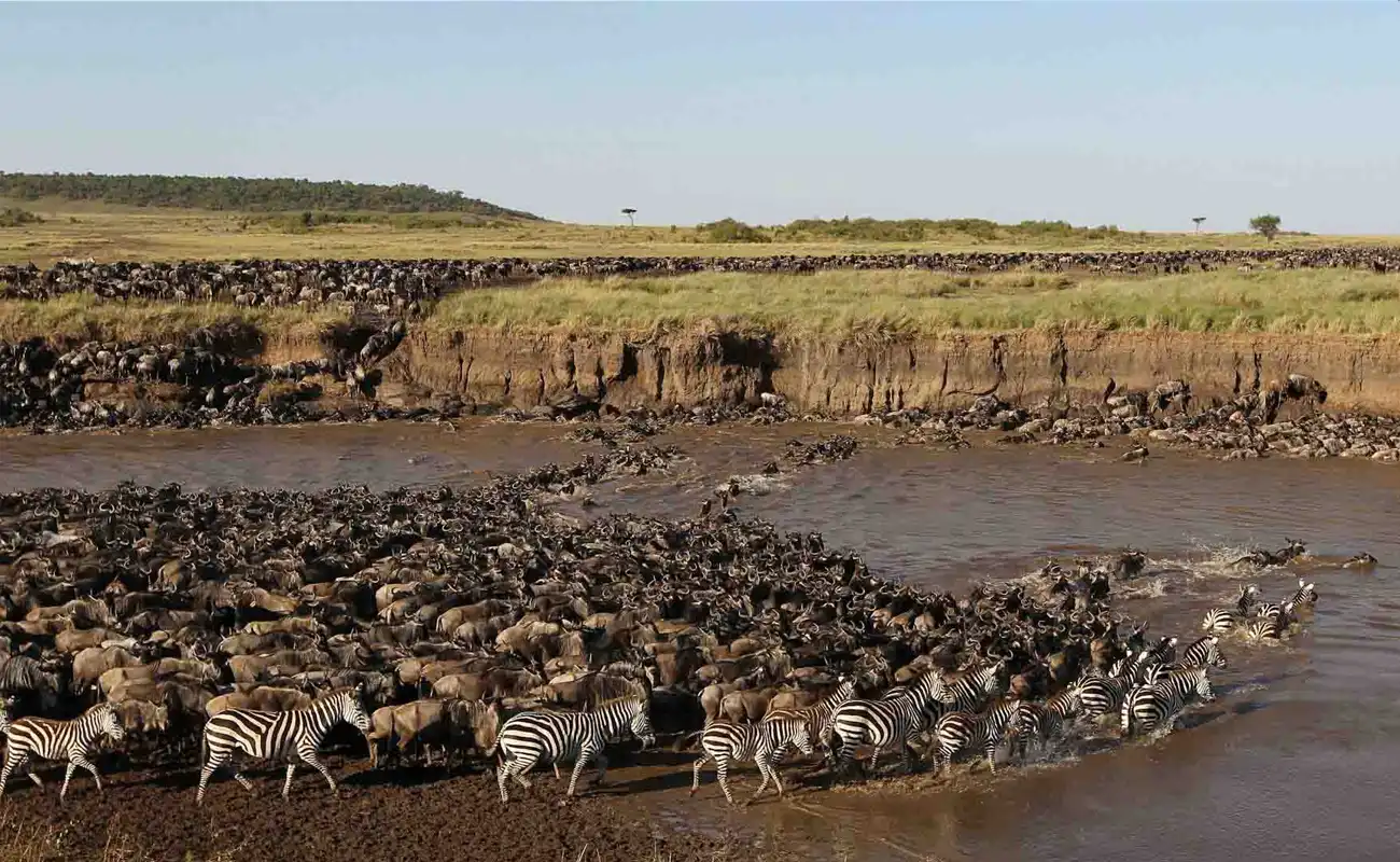 Serengeti National Park