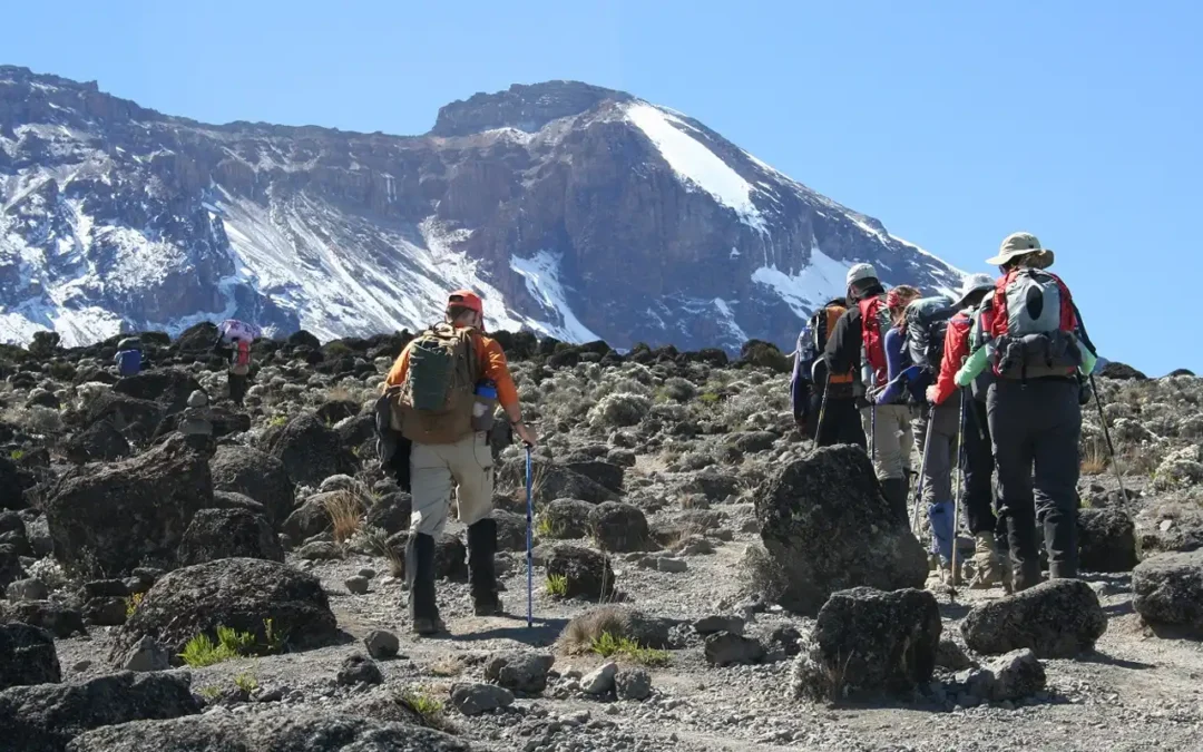 6-DAYS CLIMBING MOUNT KILIMANJARO VIA UMBWE ROUTE