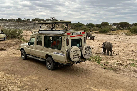 How to Plan a Last-Minute Safari for November