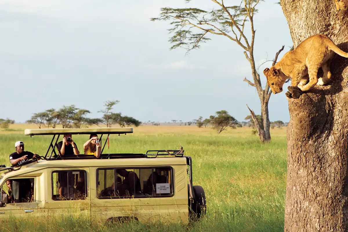 serengeti National park